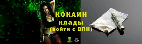 спайс Снежногорск