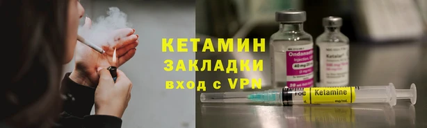 прущие грибы Семилуки