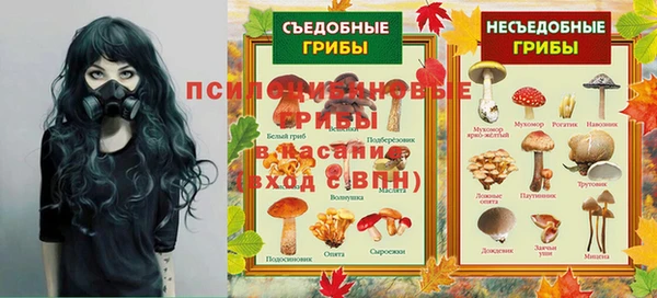 спайс Снежногорск