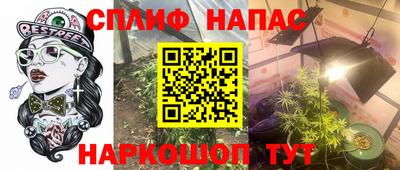 стафф Кинель