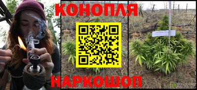 прущие грибы Апрелевка