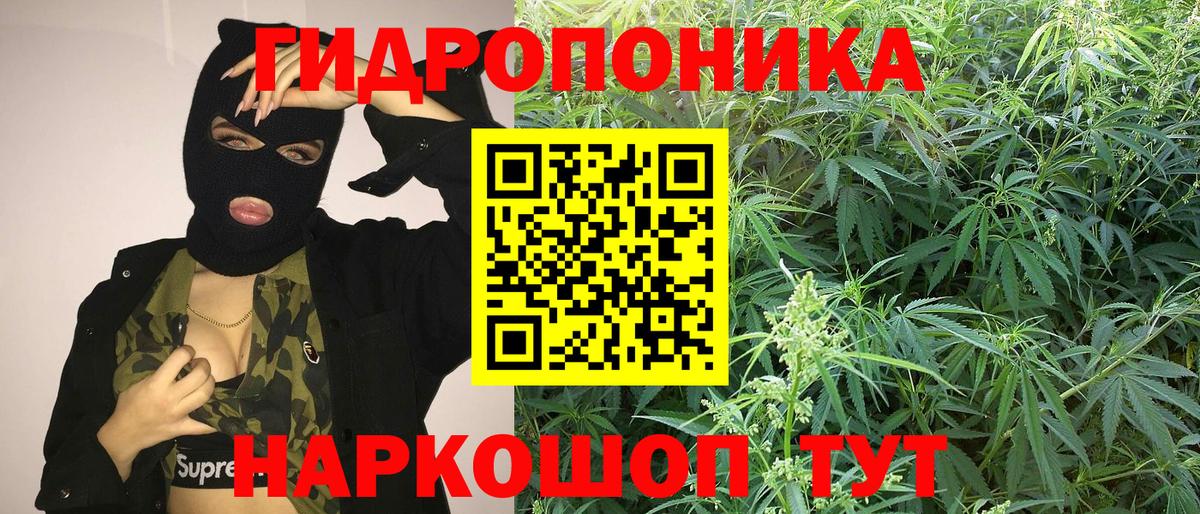 Шишки марихуана семена  Вход с VPN  Шишки марихуана конопля  Южноуральск  Канабис Amnesia 